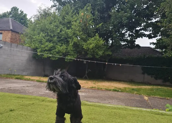 Drimnagh House Dublin