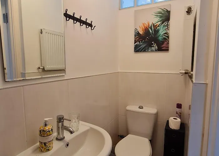 Homestay szállás Drimnagh House *