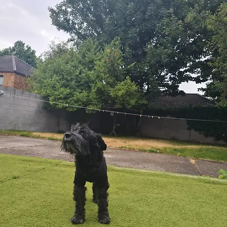 Drimnagh House ダブリン